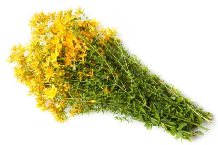 Aziz John's Wort, artroz tedavisinde kullanılır